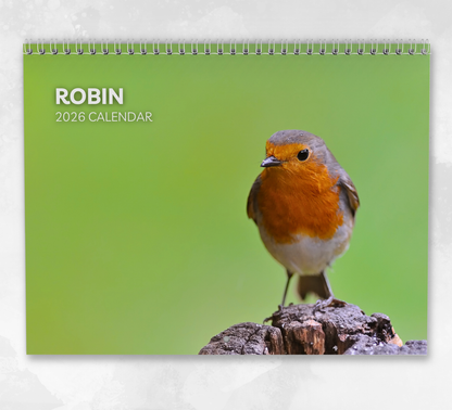 Robin Calendar 2026