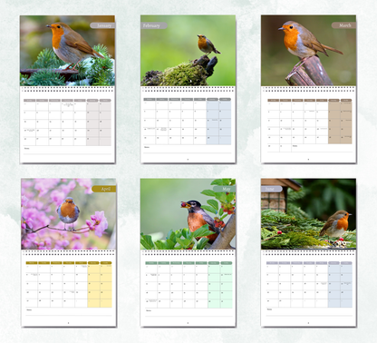 Robin Calendar 2026