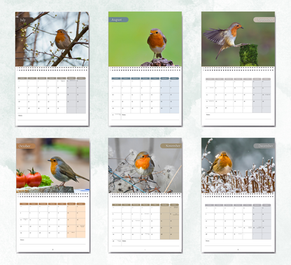 Robin Calendar 2026