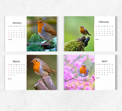 Robin Desk Calendar 2026-2027