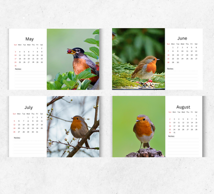 Robin Desk Calendar 2026-2027