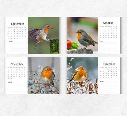 Robin Desk Calendar 2026-2027