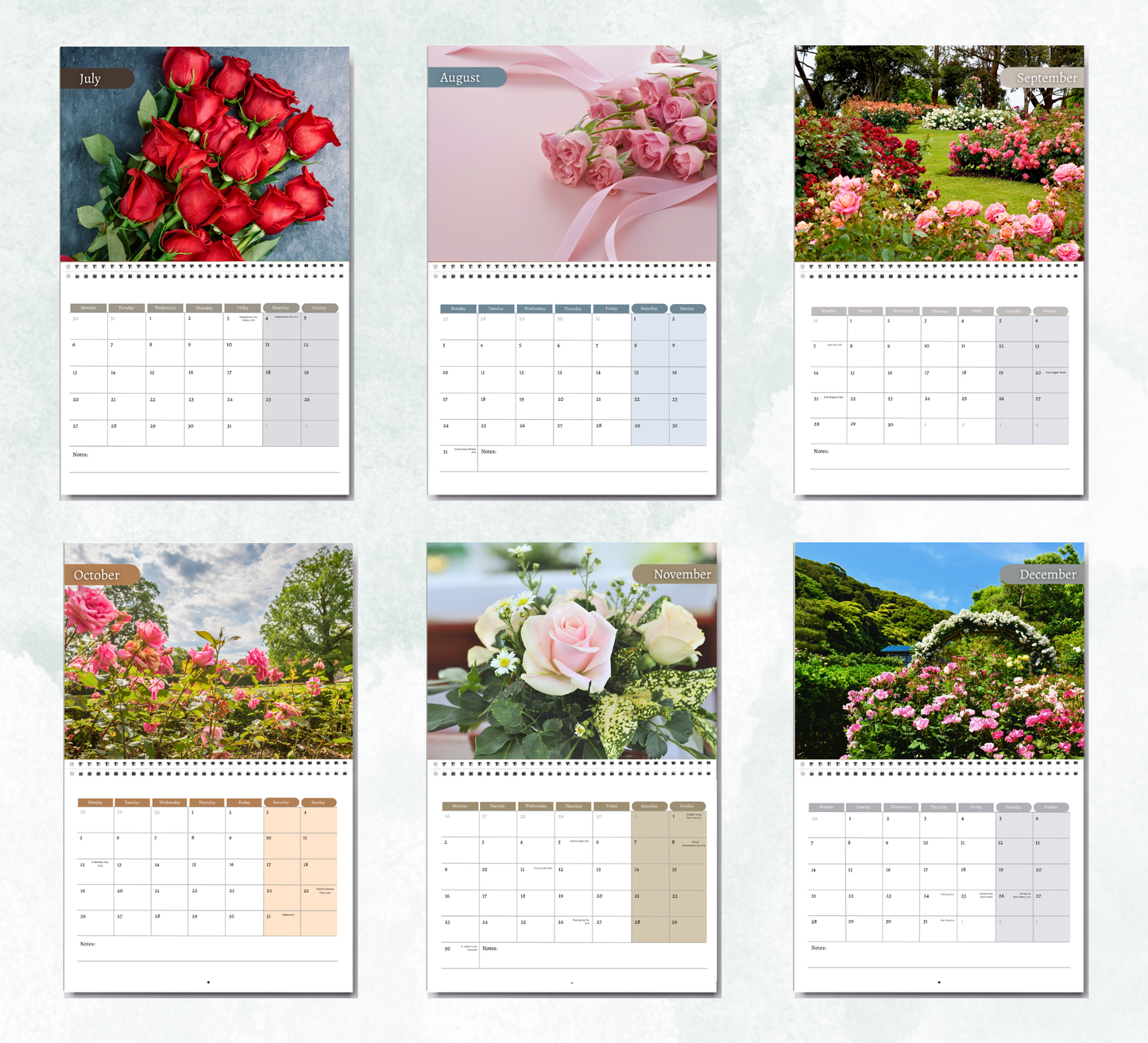 Roses Calendar 2026