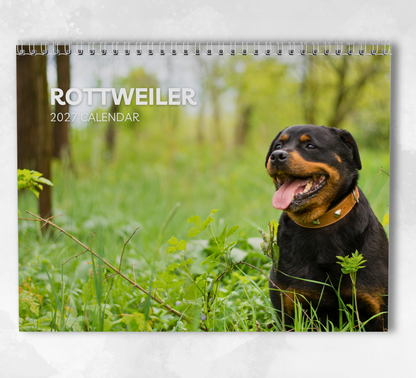 Rottweiler Calendar 2027