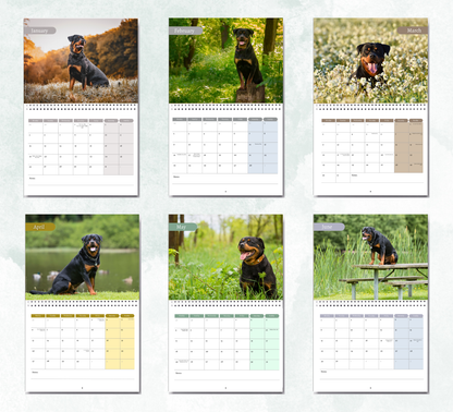 Rottweiler Calendar 2027