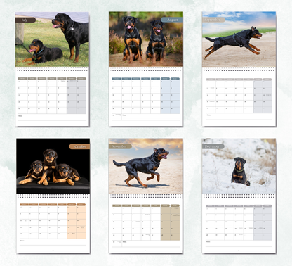 Rottweiler Calendar 2027