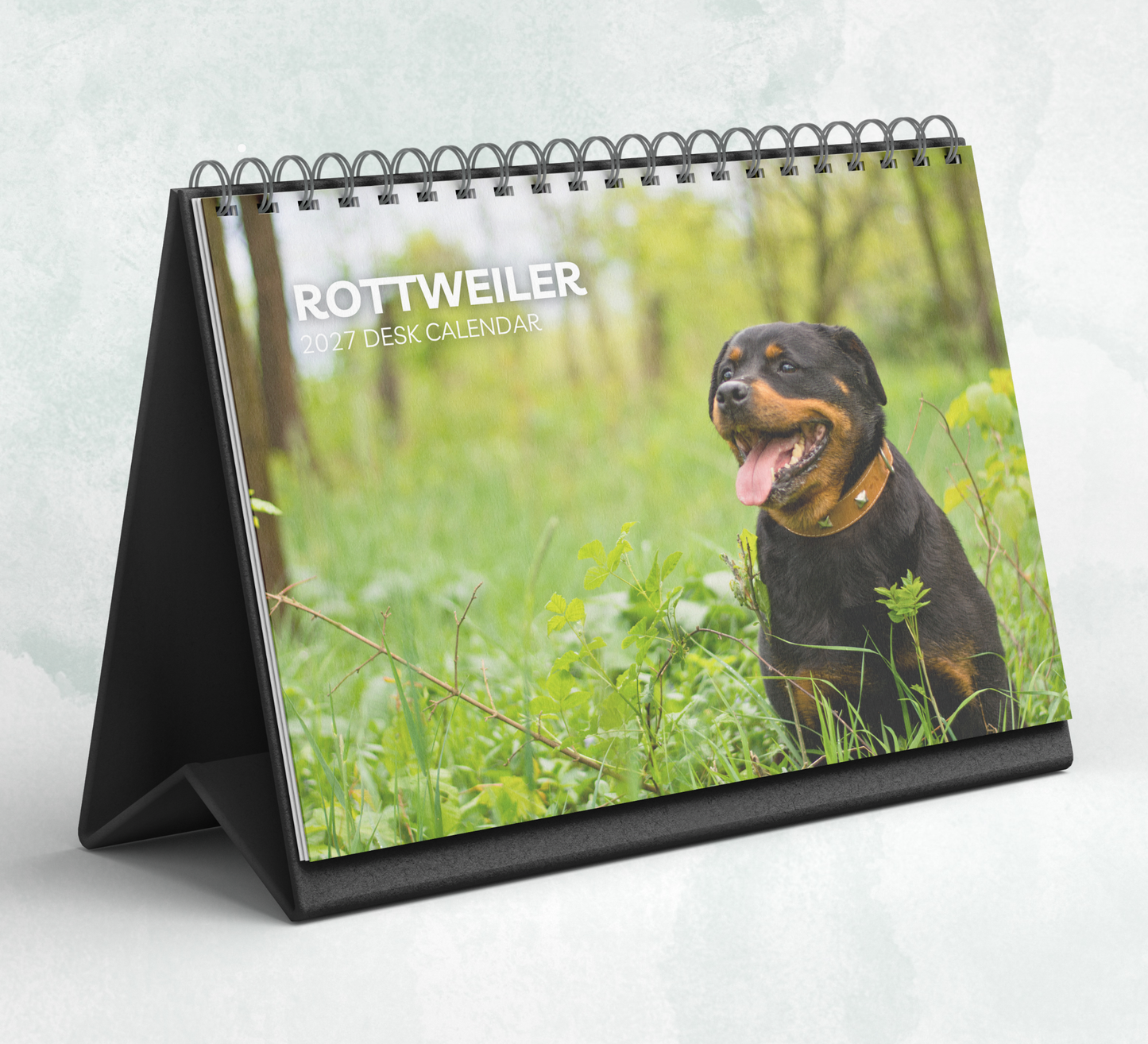 Rottweiler Desk Calendar 2027-2028
