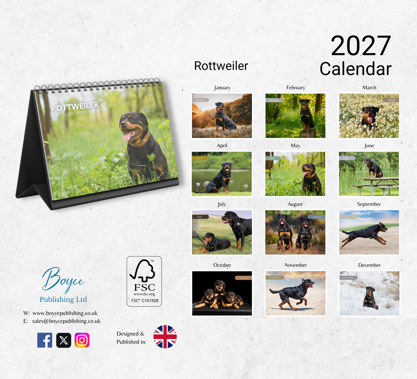 Rottweiler Desk Calendar 2027-2028