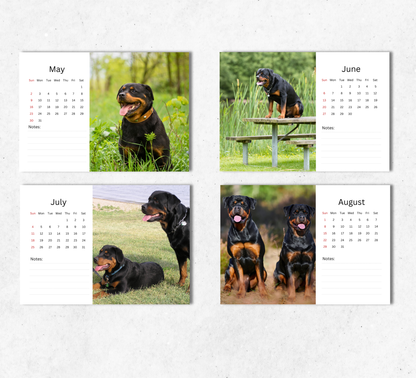 Rottweiler Desk Calendar 2027-2028