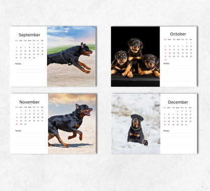 Rottweiler Desk Calendar 2027-2028
