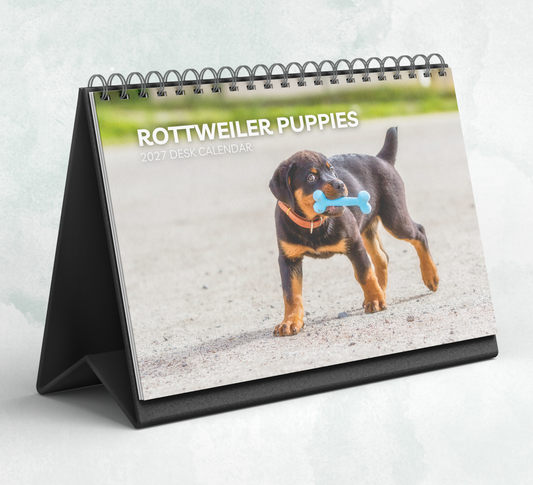 Rottweiler Puppies Desk Calendar 2027-2028