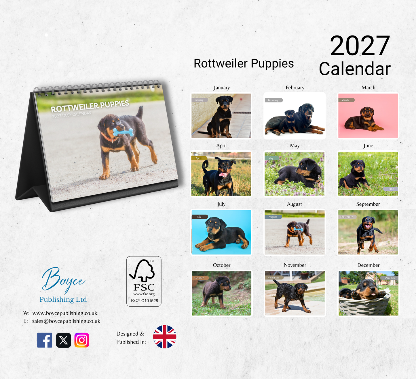Rottweiler Puppies Desk Calendar 2027-2028