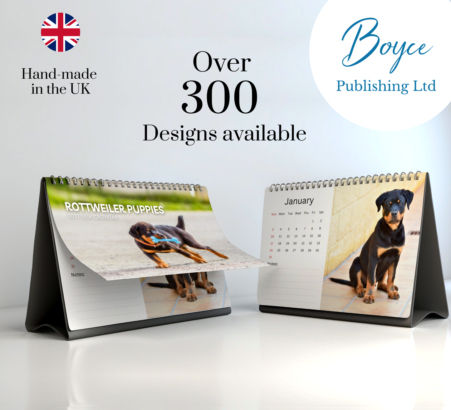 Rottweiler Puppies Desk Calendar 2027-2028