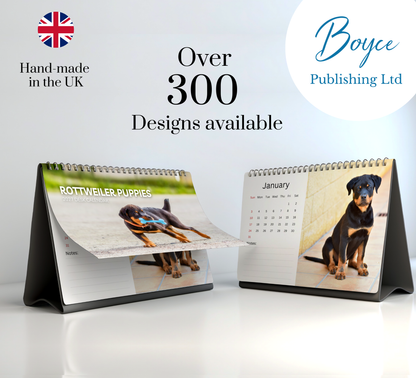 Rottweiler Puppies Desk Calendar 2027-2028