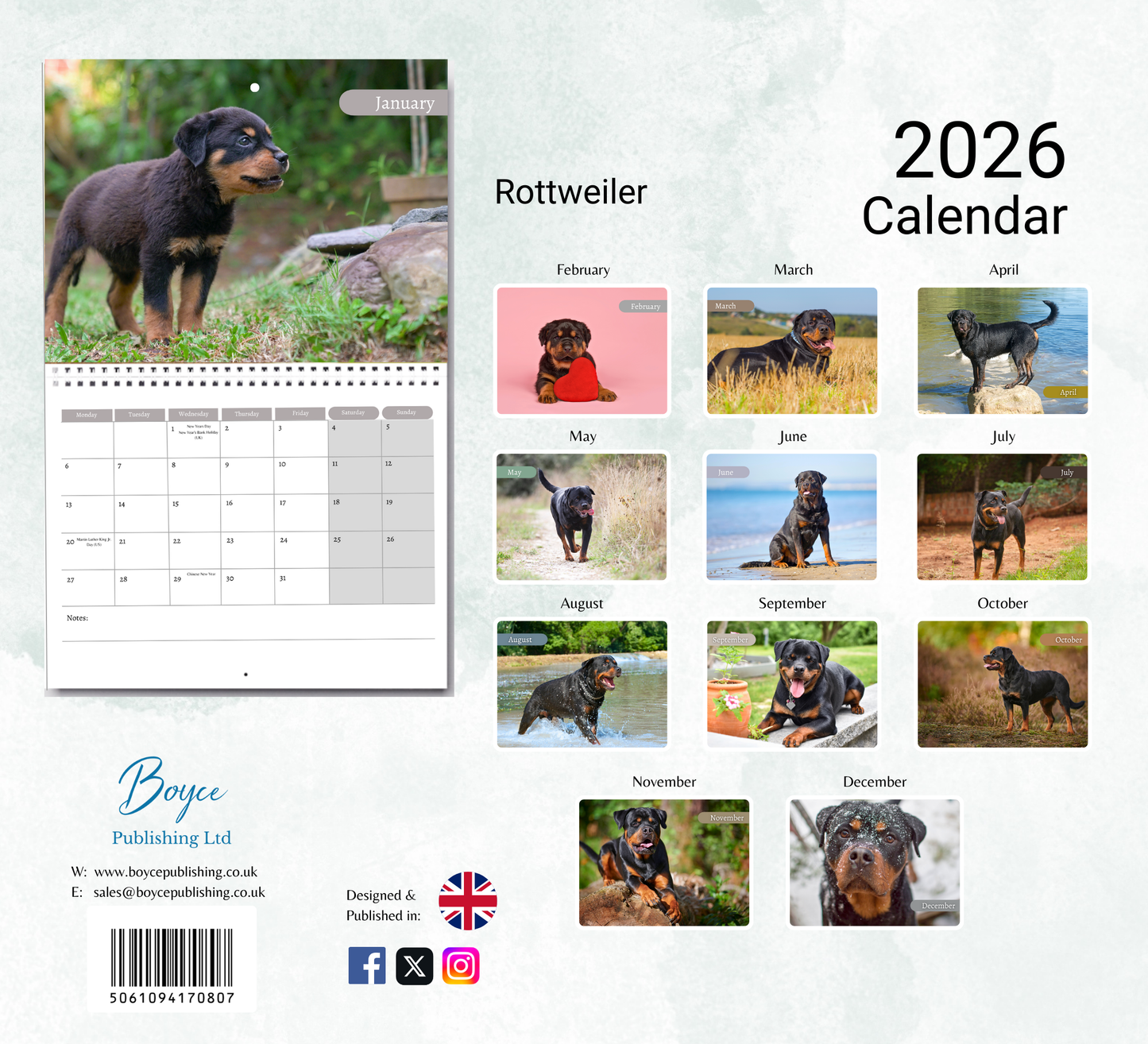 Rottweiler Calendar 2026