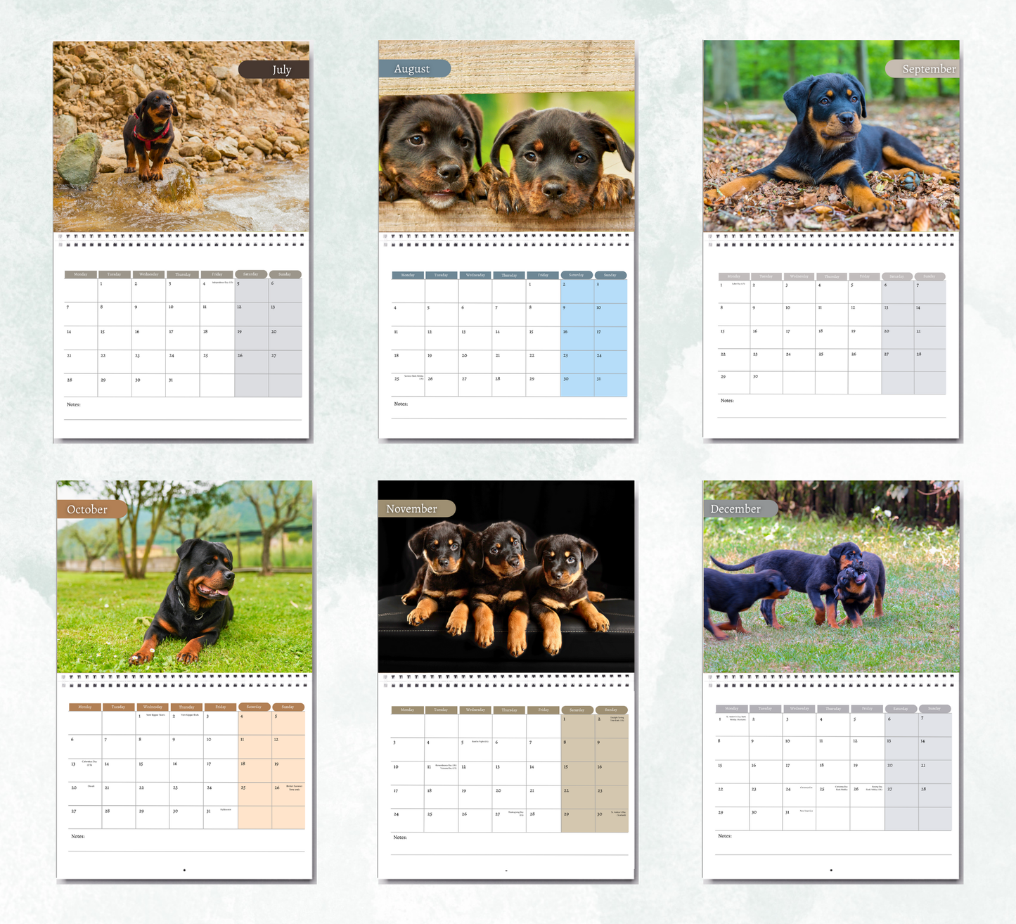Rottweiler Calendar 2026