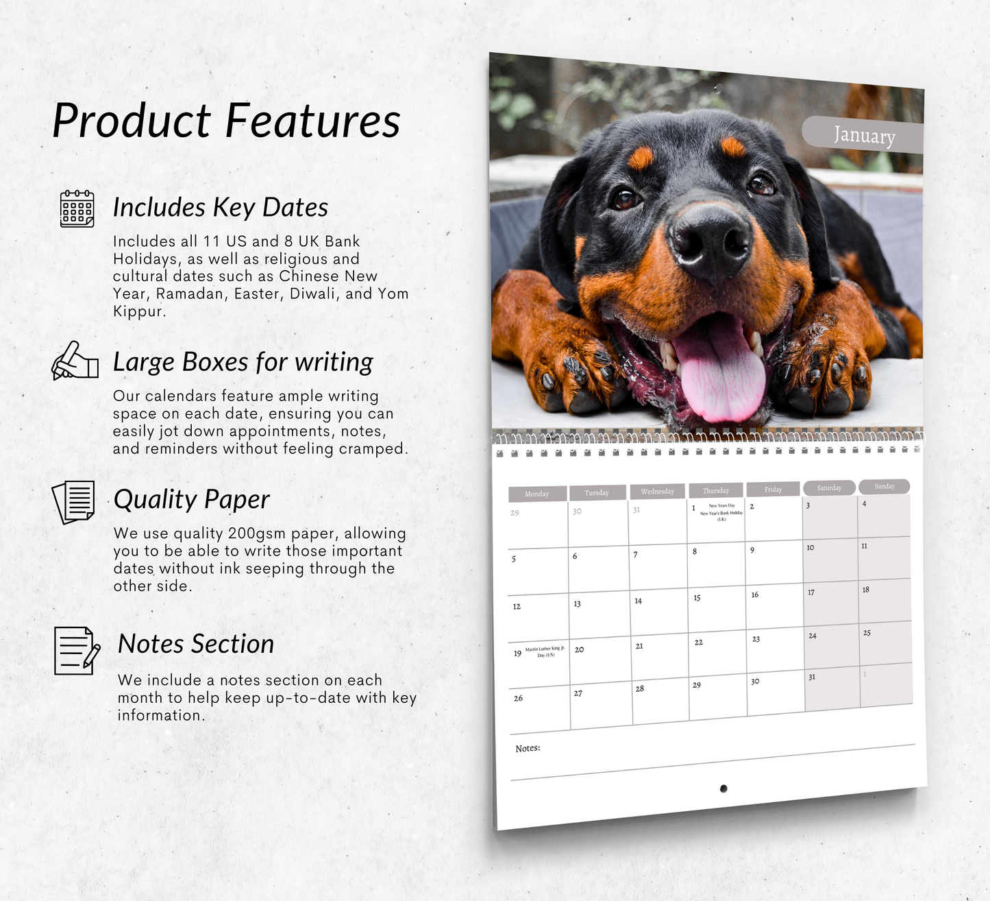 Rottweiler Calendar 2026