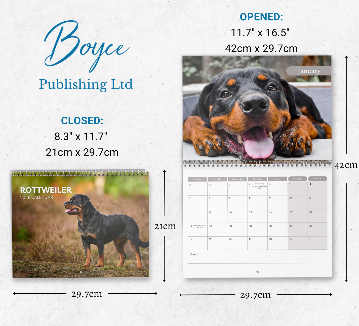 Rottweiler Calendar 2026
