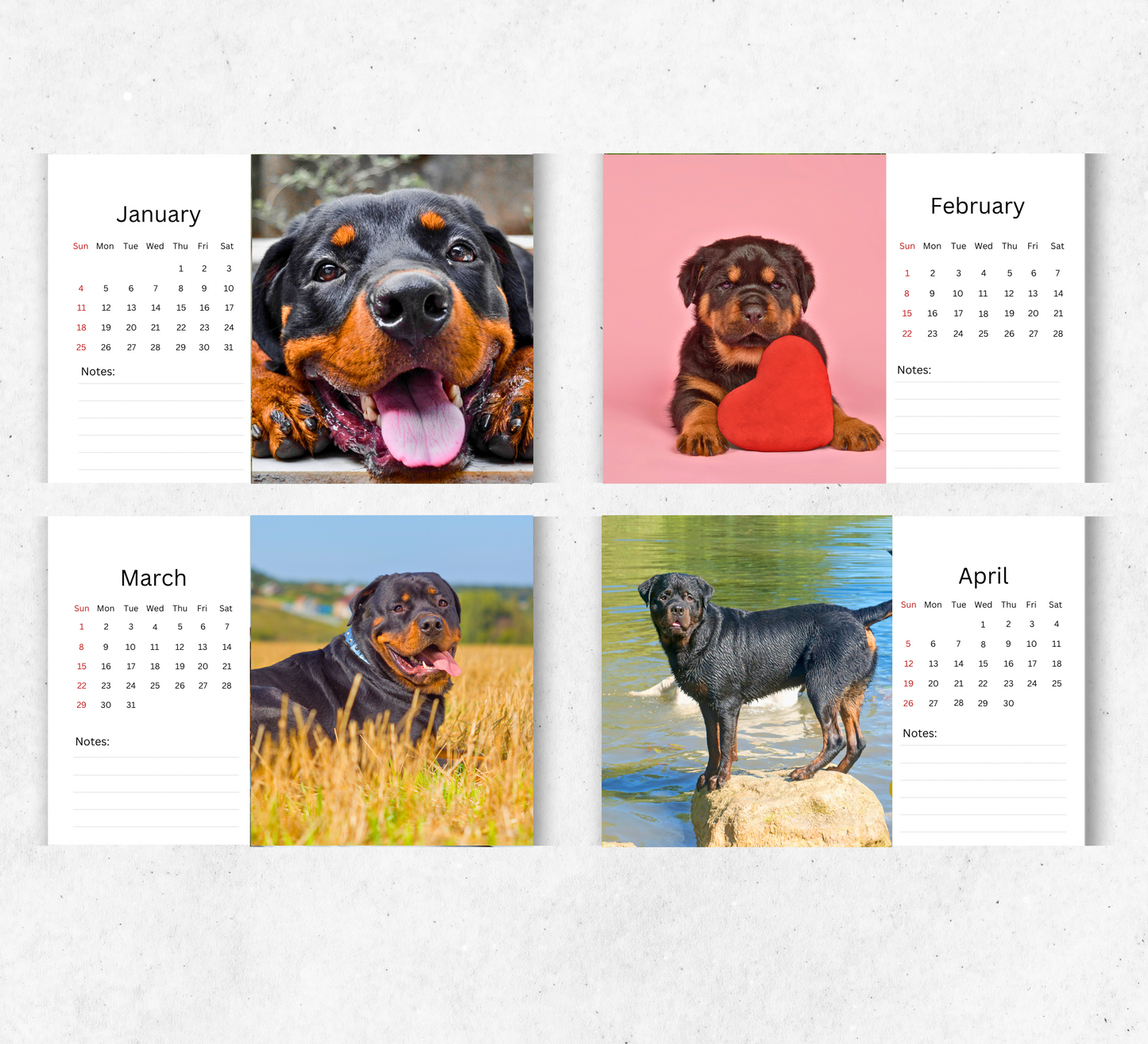 Rottweiler Desk Calendar 2026-2027