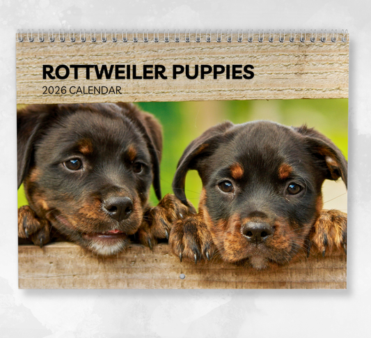 Rottweiler Puppies Calendar 2026