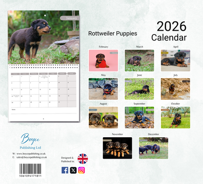 Rottweiler Puppies Calendar 2026