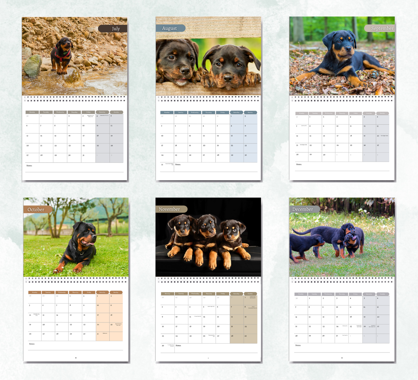 Rottweiler Puppies Calendar 2026