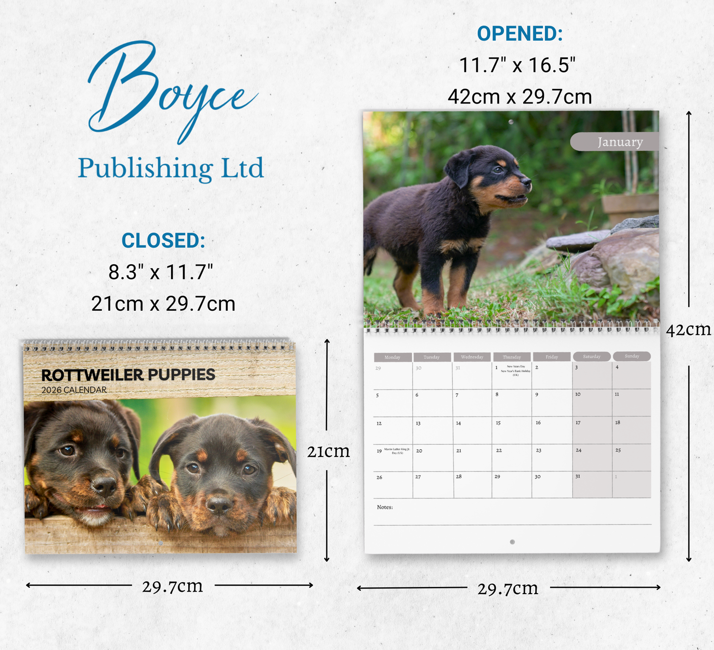 Rottweiler Puppies Calendar 2026
