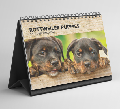 Rottweiler Puppies Desk Calendar 2026-2027