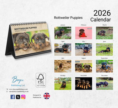 Rottweiler Puppies Desk Calendar 2026-2027