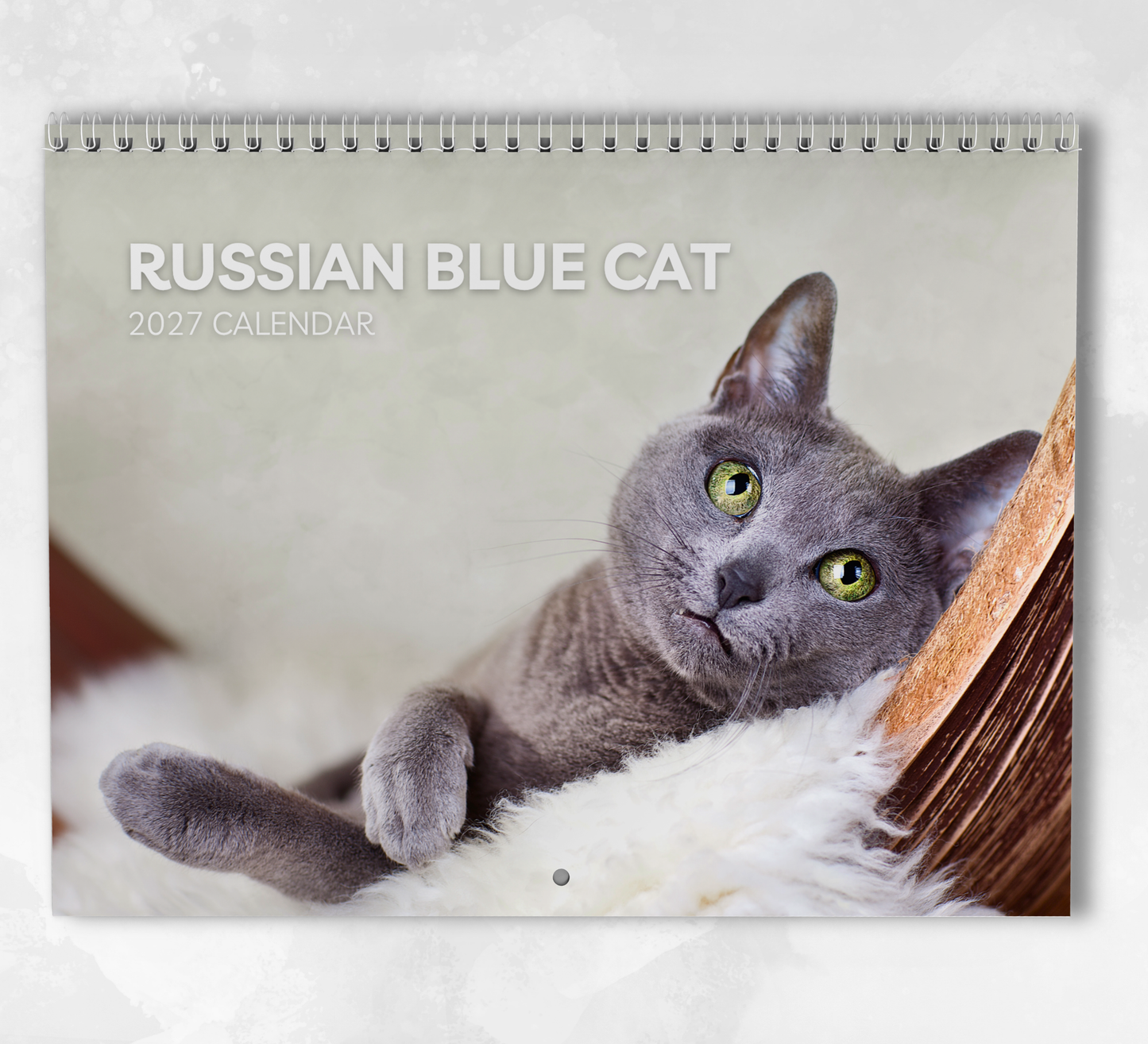 Russian Blue Cat Calendar 2027