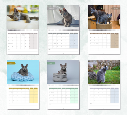 Russian Blue Cat Calendar 2027