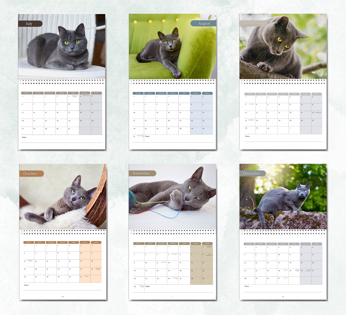 Russian Blue Cat Calendar 2027
