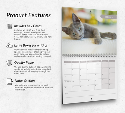 Russian Blue Cat Calendar 2027