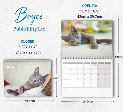 Russian Blue Cat Calendar 2027