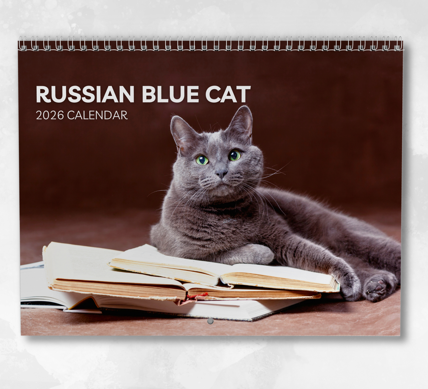 Russian Blue Cat Calendar 2026