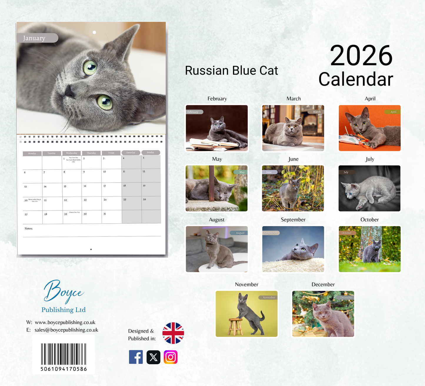 Russian Blue Cat Calendar 2026