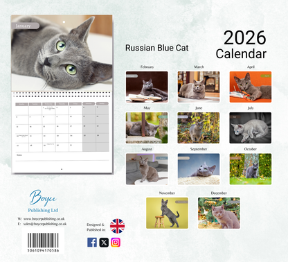Russian Blue Cat Calendar 2026