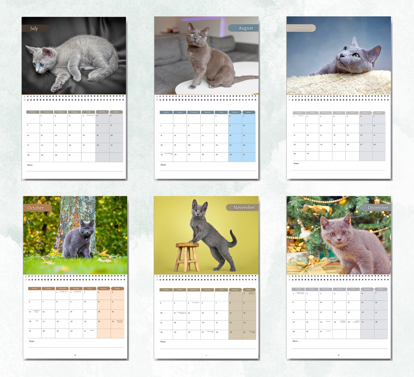 Russian Blue Cat Calendar 2026