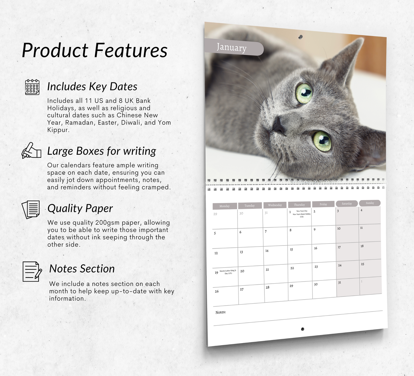 Russian Blue Cat Calendar 2026