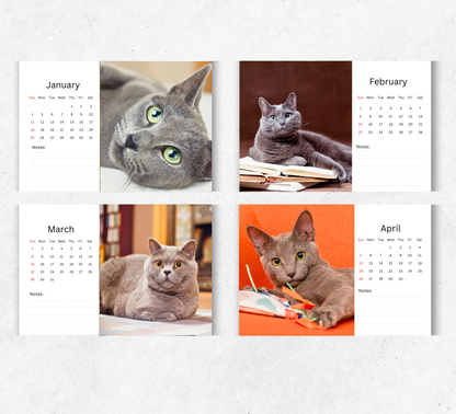 Russian Blue Cat Desk Calendar 2026-2027