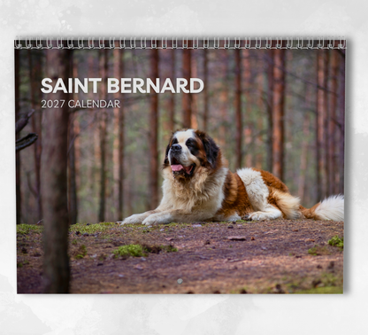 Saint Bernard Calendar 2027