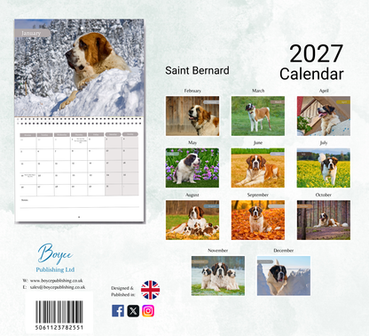 Saint Bernard Calendar 2027