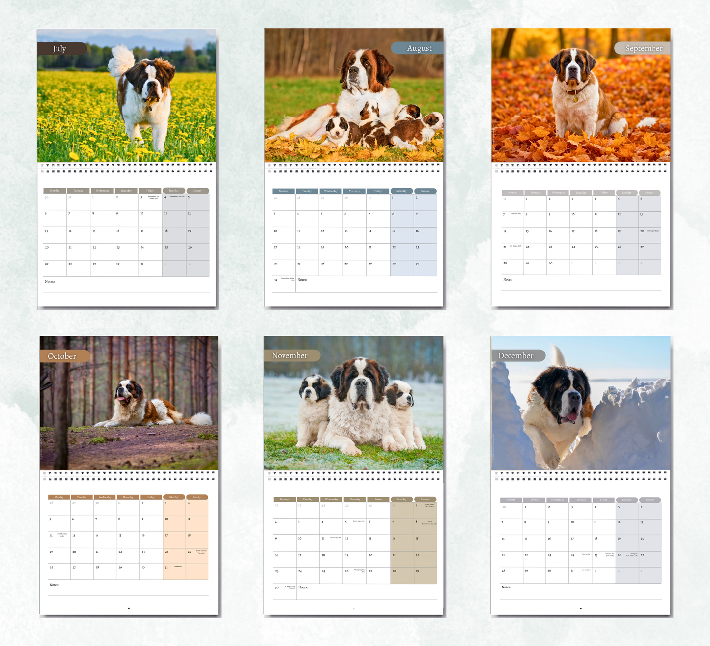 Saint Bernard Calendar 2027