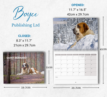 Saint Bernard Calendar 2027