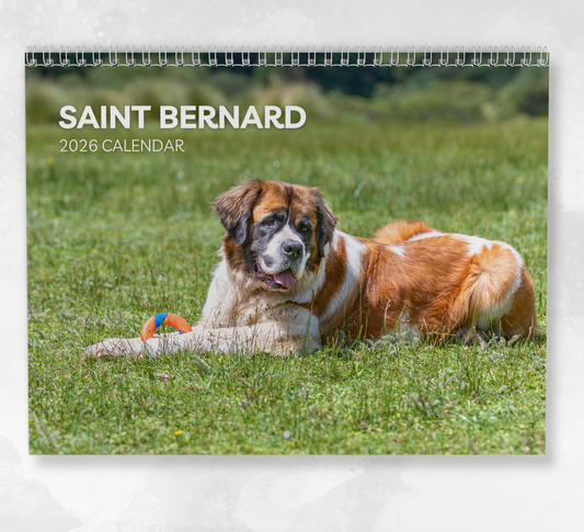 Saint Bernard Calendar 2026