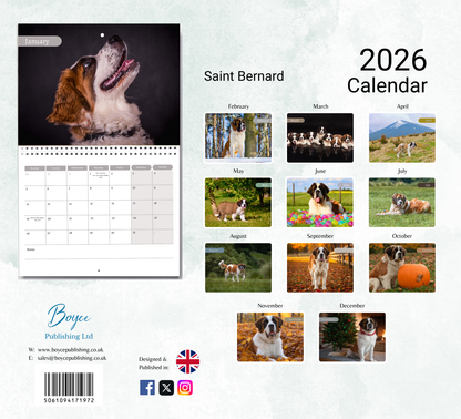 Saint Bernard Calendar 2026