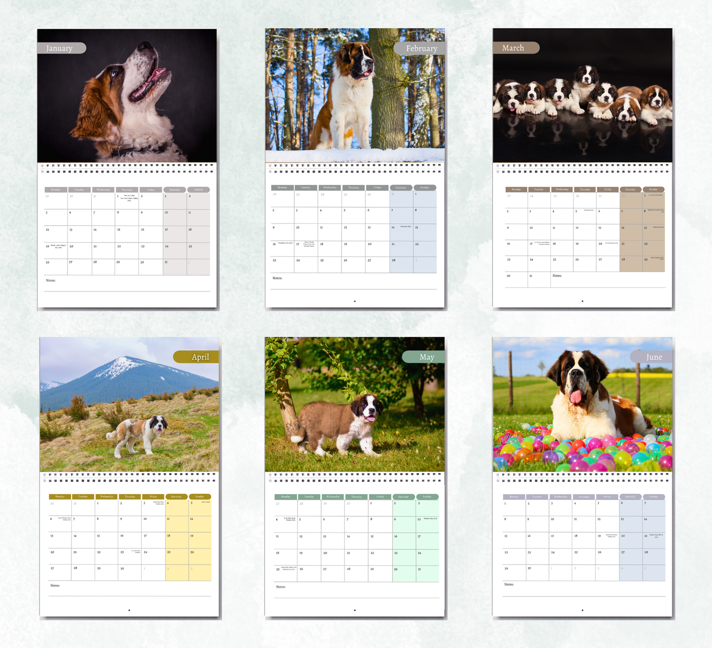 Saint Bernard Calendar 2026