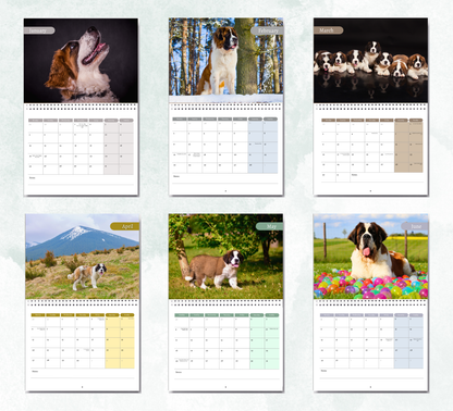 Saint Bernard Calendar 2026