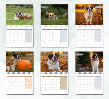 Saint Bernard Calendar 2026