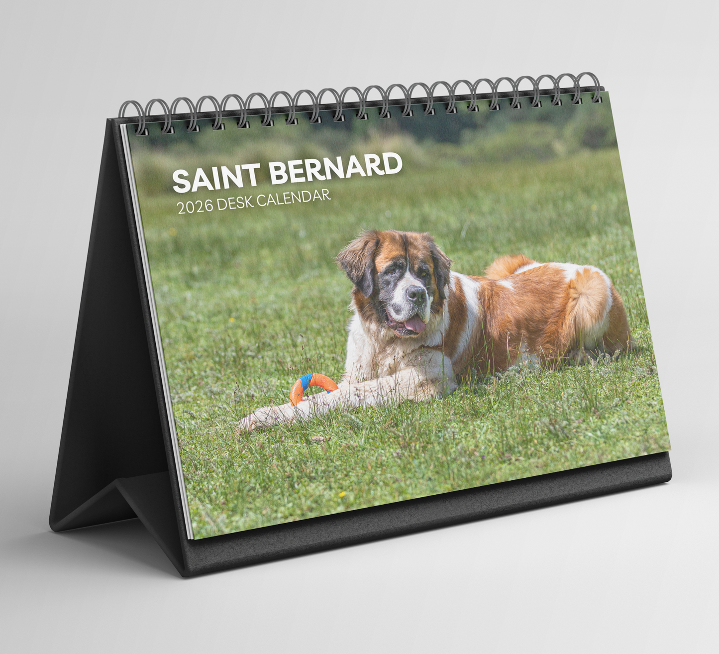 Saint Bernard Desk Calendar 2026-2027